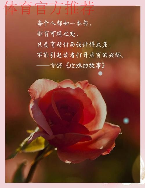 虽败犹荣 玫瑰重拾铿锵气质崛起指日可待! 虽败犹荣 玫瑰重拾铿锵气质崛起指日可待!