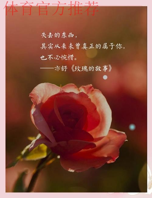 虽败犹荣 玫瑰重拾铿锵气质崛起指日可待! 虽败犹荣 玫瑰重拾铿锵气质崛起指日可待!